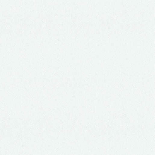 Satin White (W300)